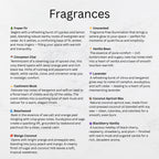 I Love and Cherish Myself – Coconut Apricot Wax Candle